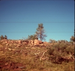 Click to see b28s030.jpg