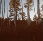 Click to see b28s031.jpg