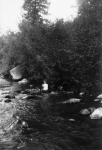 Click to see Scan5611.jpg