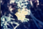 Click to see Rb05s072.jpg