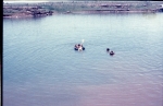 Click to see Rb05s100.jpg