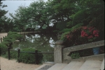Click to see Rb20s004.jpg