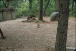 Click to see Rb20s005.jpg