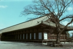 Click to see Rb20s049.jpg
