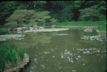 Click to see Rb20s077.jpg
