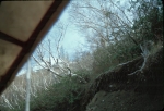 Click to see R25s007.jpg