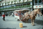 Click to see R25s011.jpg