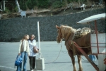 Click to see R25s012.jpg