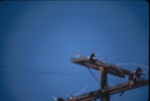 Click to see R25s066.jpg