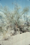 Click to see R33s006.jpg