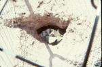 Click to see R33s042.jpg