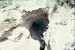 Click to see R33s043.jpg