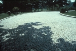Click to see r41s016.jpg