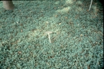 Click to see r41s058.jpg