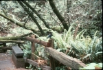Click to see R43s026.jpg