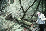 Click to see R43s027.jpg